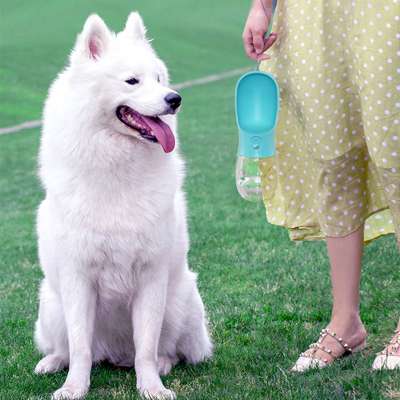 Dongguan Factory Portable Pet Dog Water Bottle For Outdoor Travel Puppy Water Dispenser