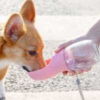 2020 Hot Selling Small Pet Water Bottle Portable Travel Pet Dog Water Bottle For Walking