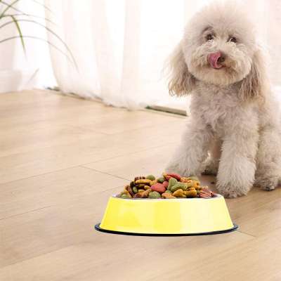 pet Food Bowl Stainless Steel Non Skid Pet Paws Doodler Dish is Perfect for a Small Dog Cat Kitten Puppy