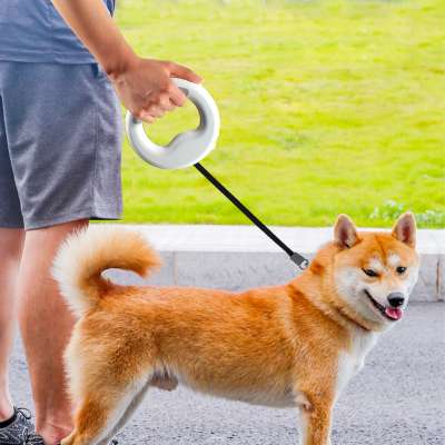 Top product 2020 New Design Custom Nylon  Proof Medium Duty Retractable Led Pet Dog Leash Wholesale